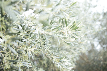 Similar image 22466374