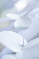 Similar image 22466390