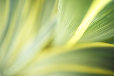 Similar image 22466089