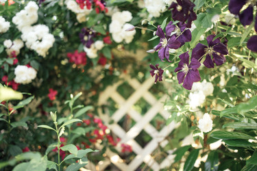 Similar image 22466091