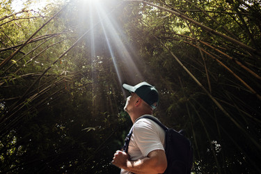 Similar image 22466100