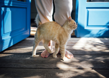 Similar image 22466251