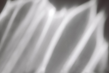 Similar image 22466255