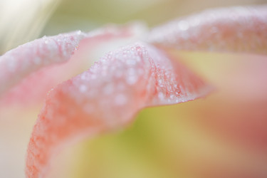 Similar image 22466267