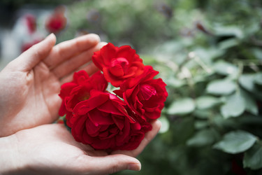 Similar image 22466283