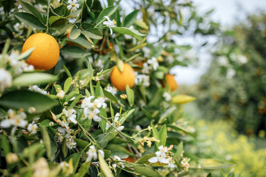 Similar image 22466284