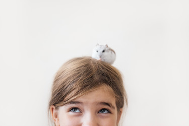 Similar image 22466300