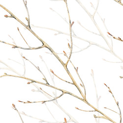 Similar image 22460693