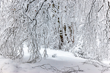 Similar image 22456701