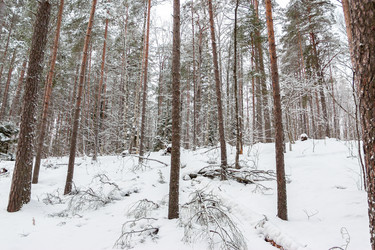 Similar image 22456675