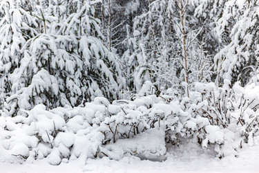 Similar image 22456676