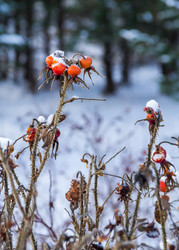 Similar image 22452408