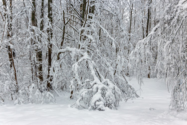 Similar image 22456680