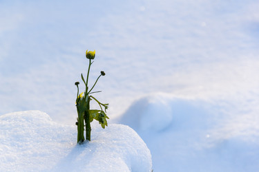 Similar image 22452409