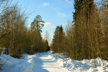 Similar image 22456682