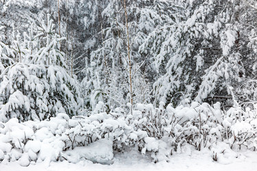 Similar image 22456683