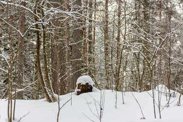 Similar image 22456684