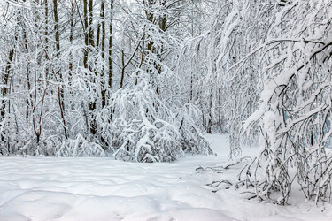 Similar image 22456686