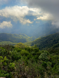 Similar image 22457176