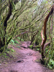 Similar image 22457190