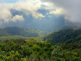 Similar image 22457192