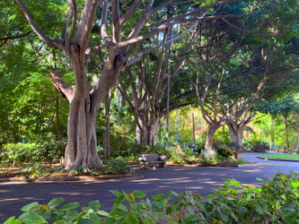 Similar image 22457646