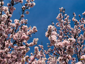 Similar image 22457660