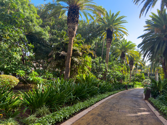 Similar image 22457676