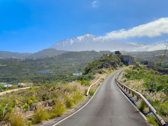 Similar image 22457923