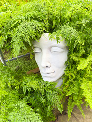 Similar image 22457982