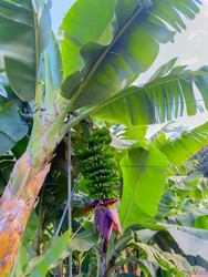 Similar image 22458014