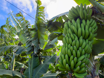 Similar image 22458027