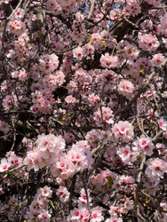 Similar image 22458041