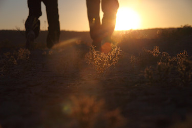 Similar image 22455691