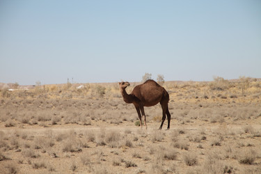 Similar image 22455693