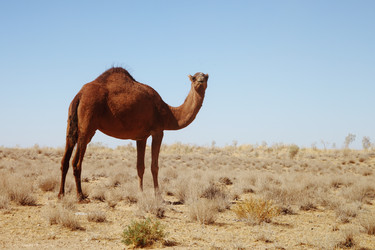 Similar image 22455790