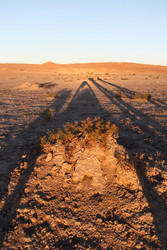 Similar image 22455793