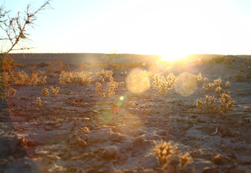 Similar image 22455794