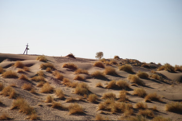 Similar image 22455114