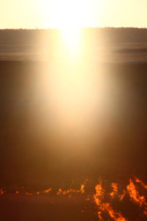 Similar image 22455434