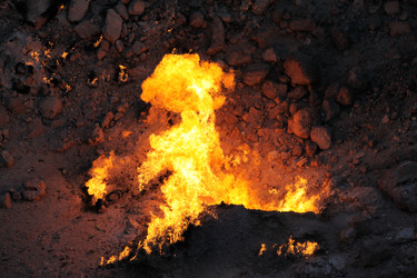 Similar image 22455456