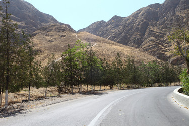 Similar image 22455482