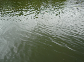 Similar image 22455084