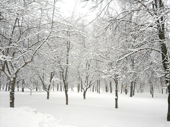 Similar image 22455096