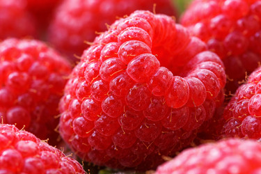 Similar image 22459755