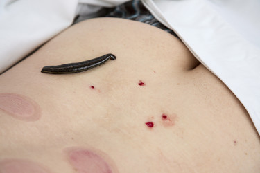 Similar image 22459298