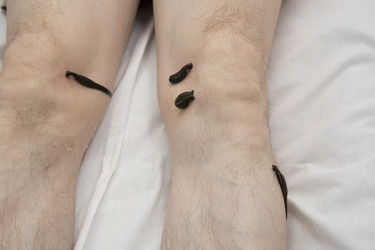 Similar image 22459301