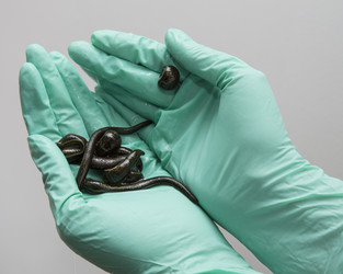 Similar image 22459304