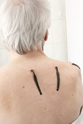 Similar image 22459314