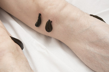 Similar image 22459315